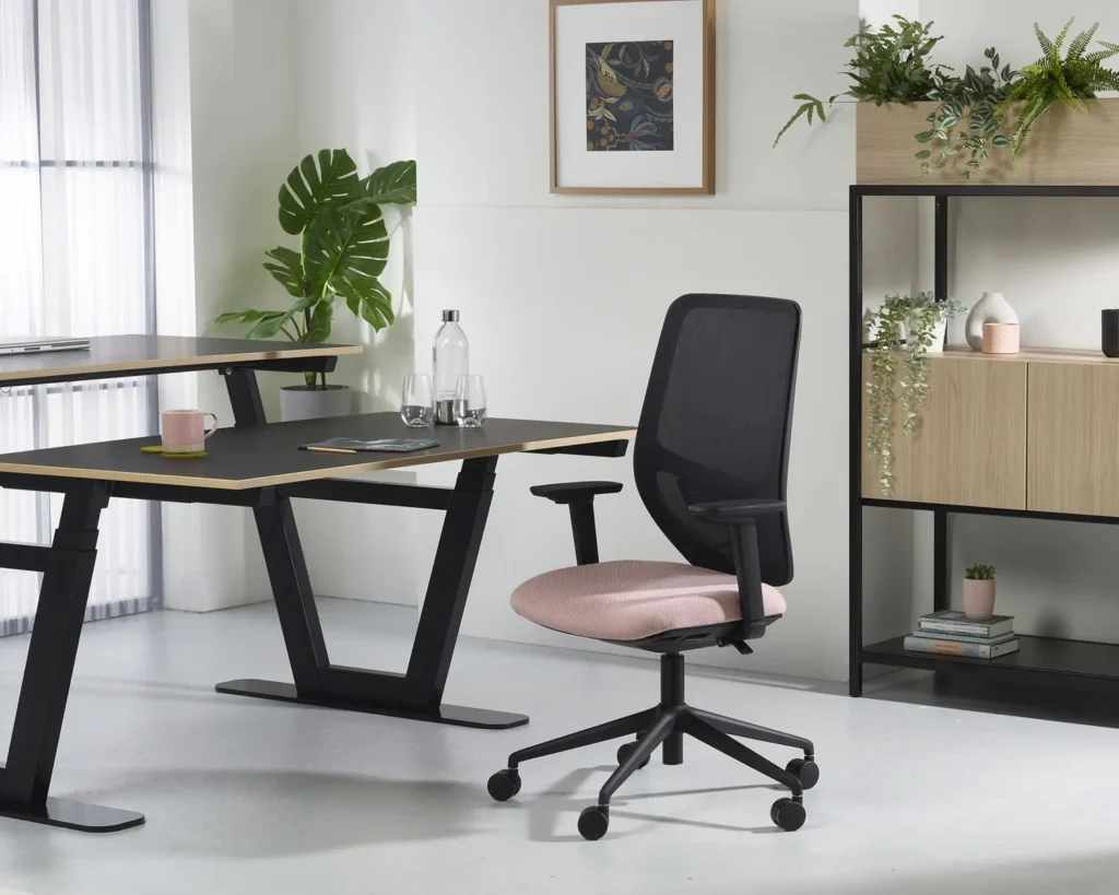 ergonomic chair, office chair, home office, posture chairs
