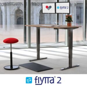 Flytta 2 Sit-Stand Desk